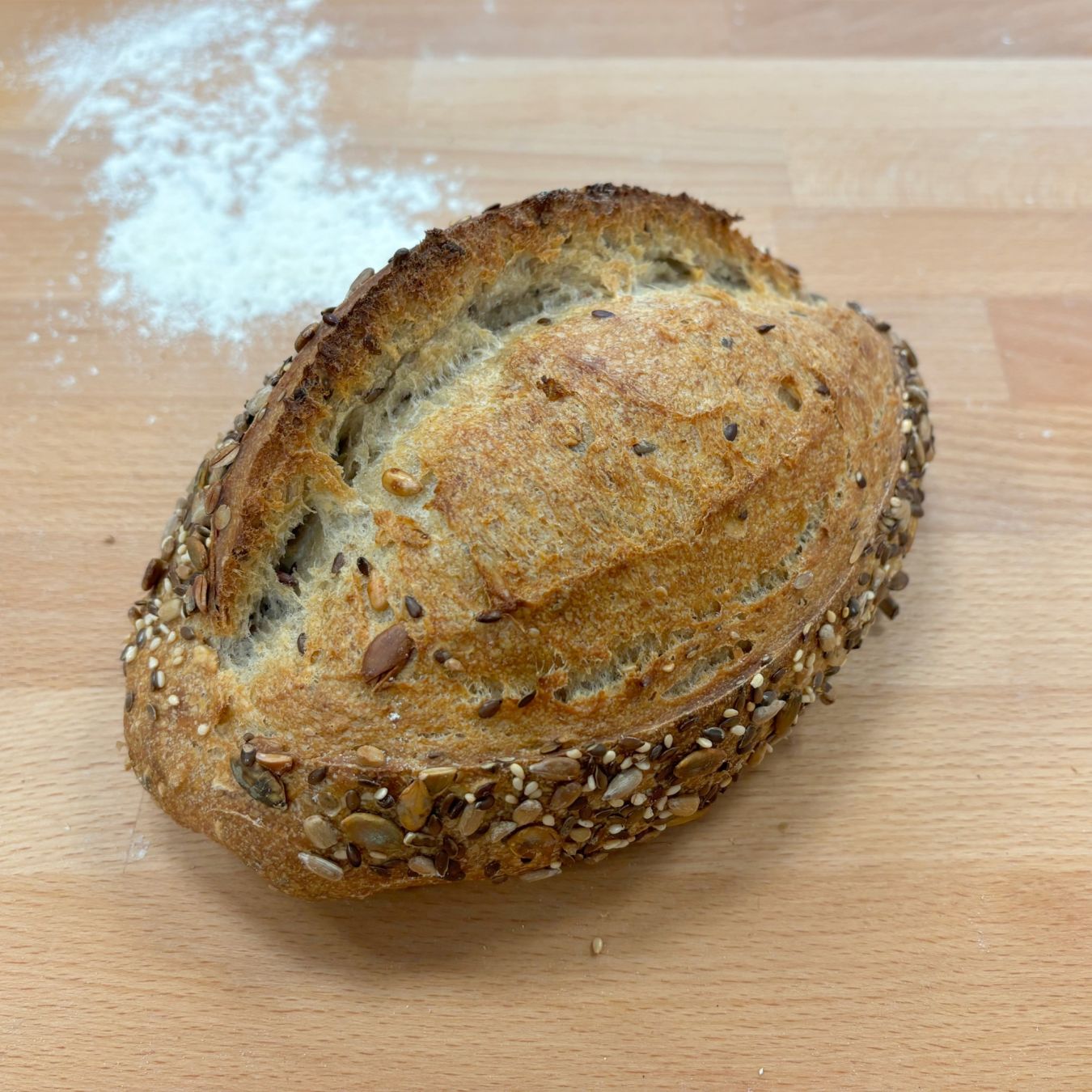 Meerzadenbatard